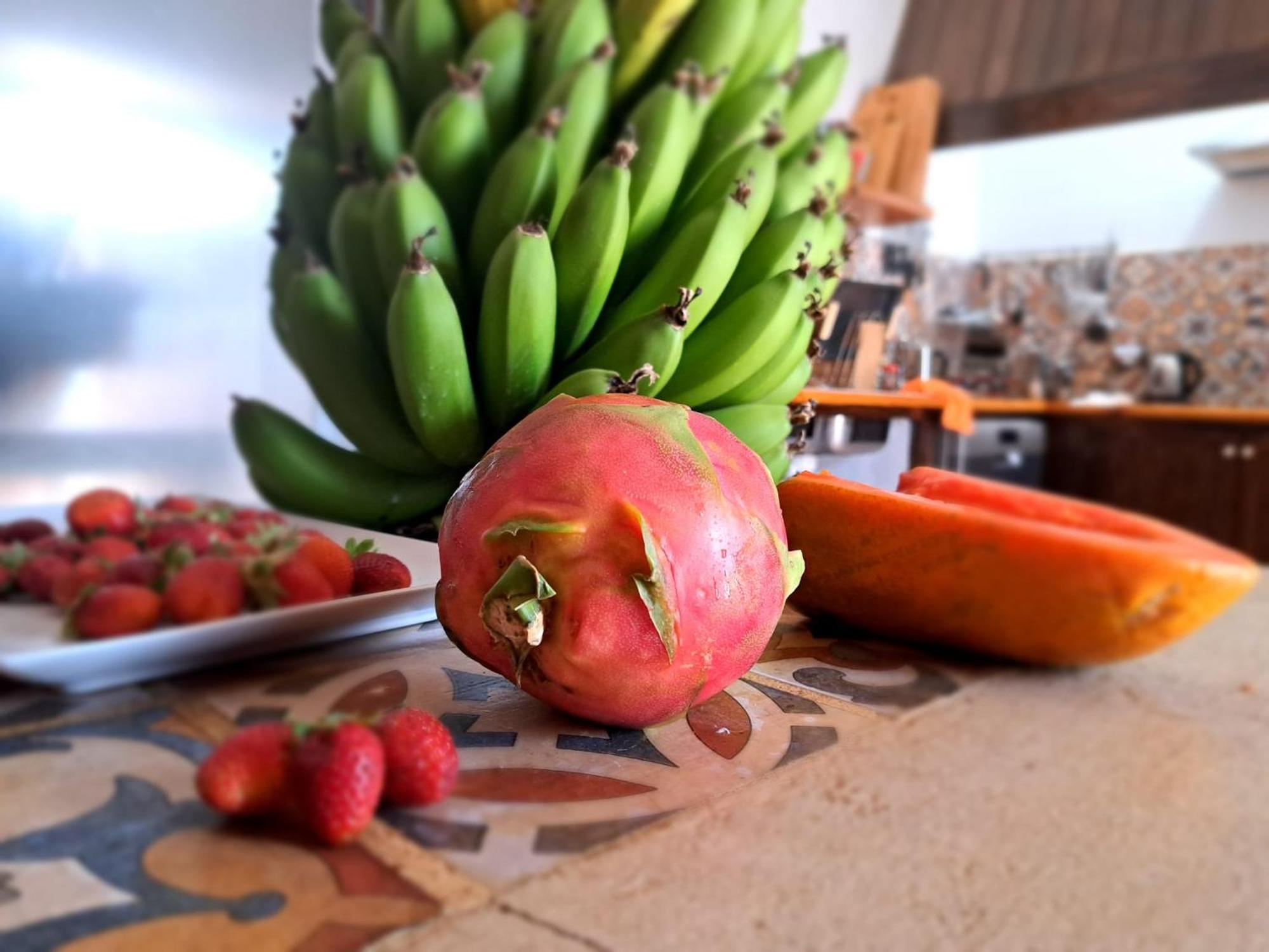 Mácher Finca Isolina Hotel Boutique - Adults Recommended מראה חיצוני תמונה